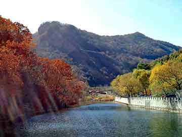 澳门天天开奖免费资料，山东硅藻土